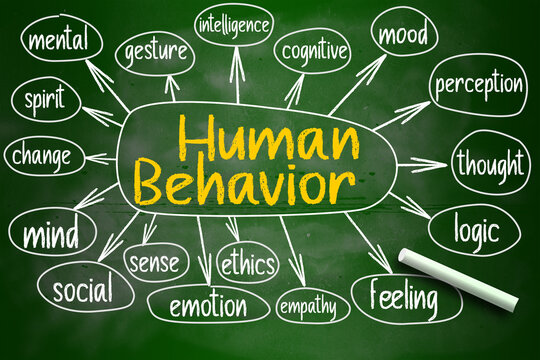 Knowledge of Human Being